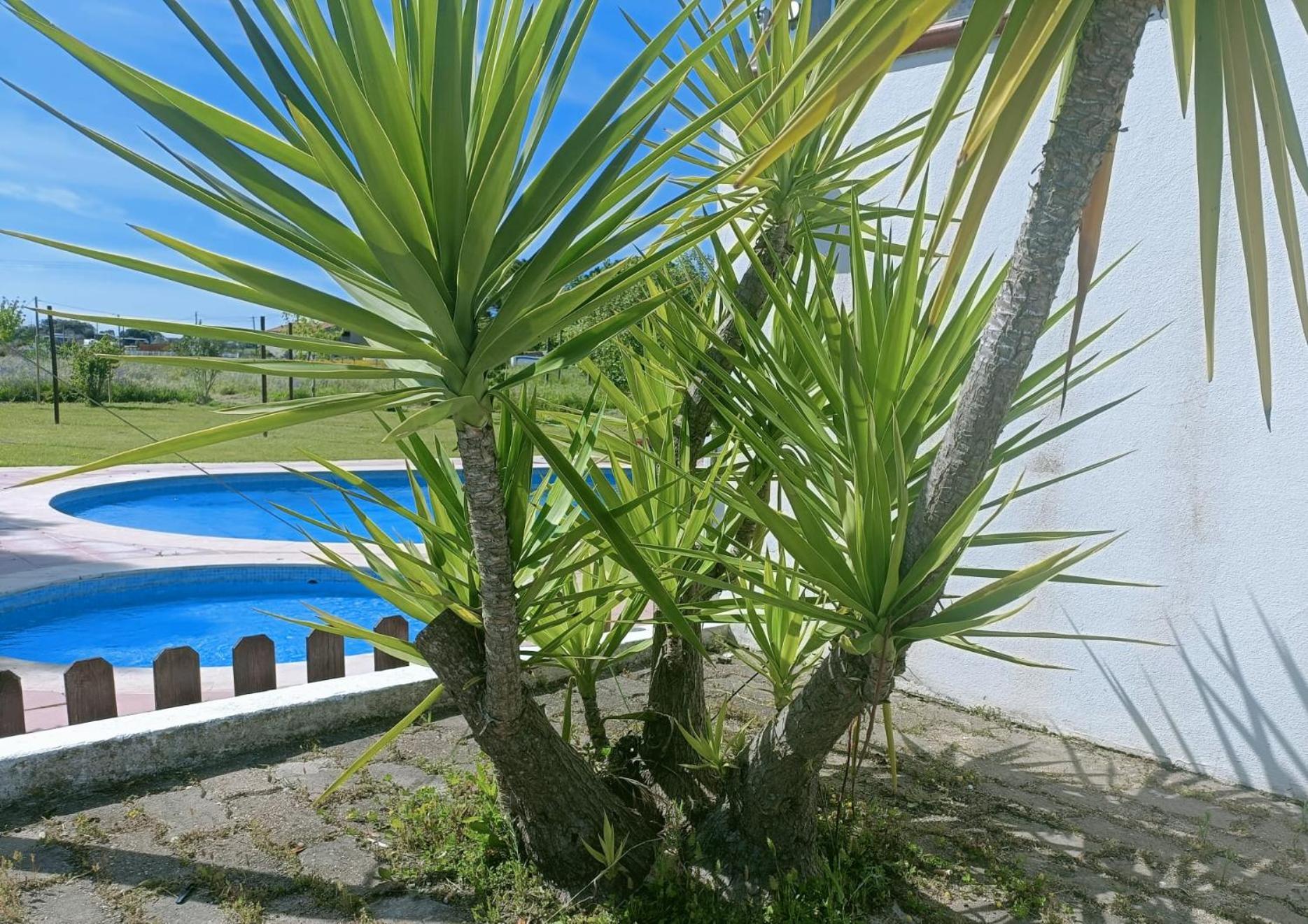 Casa Do Vale Hotel Евора Екстер'єр фото